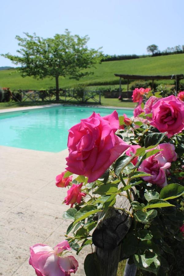 فيلا Campiglia dʼOrciaفي Agriturismo La Paciarella المظهر الخارجي الصورة