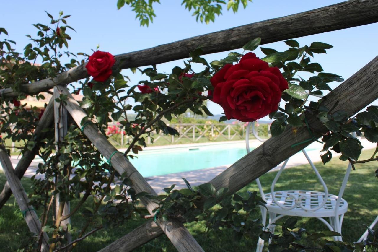 فيلا Campiglia dʼOrciaفي Agriturismo La Paciarella المظهر الخارجي الصورة