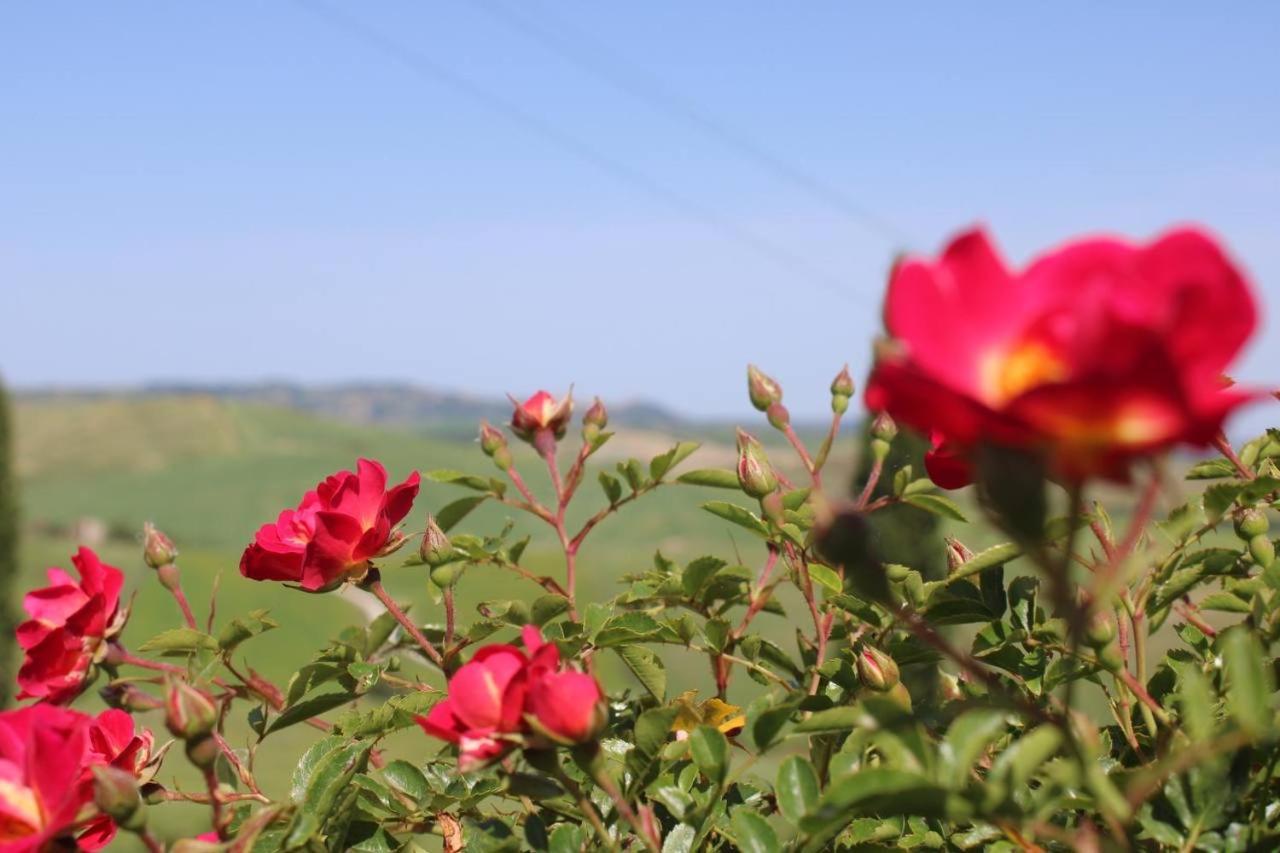 فيلا Campiglia dʼOrciaفي Agriturismo La Paciarella المظهر الخارجي الصورة